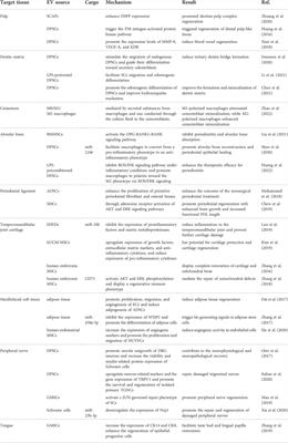 Extracellular vesicles: A potential future strategy for dental and maxillofacial tissue repair and regeneration